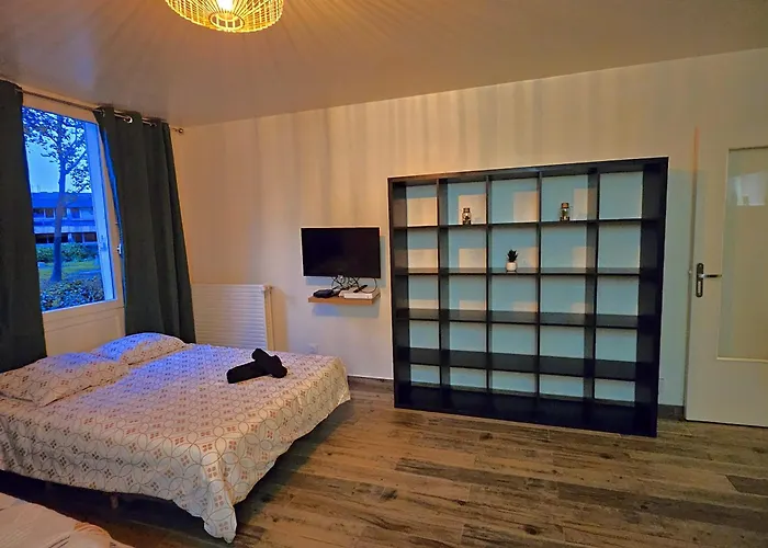 Studio Cosy Confort Moderne